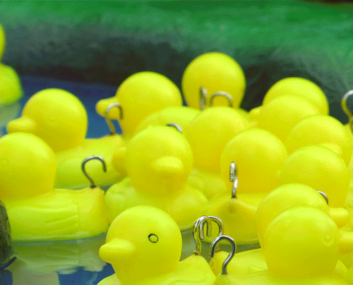 hook-a-duck